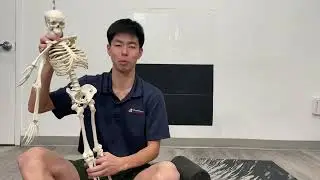 腰痛予防・改善のためのフォームローラーの使い方