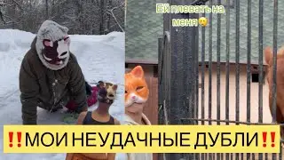 ‼️МОИ НЕУДАЧНЫЕ ДУБЛИ‼️Ч.2 🥲🤣{#therian #quadrobics #кисячерри #смешно #спорт #therianthropy #antizoo