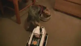 Bigtrack v.s Bobby the Dog