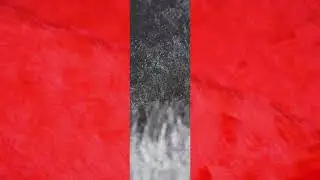 Fur Fabrics | Fabric Giant