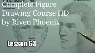 Figure Drawing Tutorial Lesson 63: Drawing Formulas for the Ulna and Radius | Structure of Man