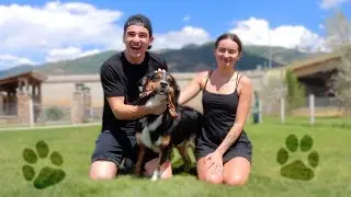 We got a Dog! Pup-Sitting Adventure!
