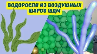 Водоросли из воздушных шаров ШДМ своими руками без гелия
