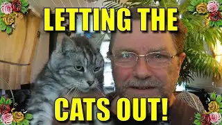 Vlog: Letting the Cats Out!
