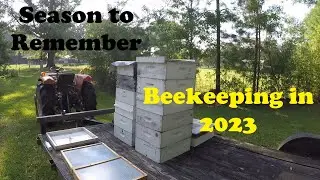 Beekeeping in 2023 | A Season With Ebbs and Flows