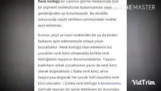 Renk körlüğü testi