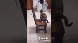Наказание