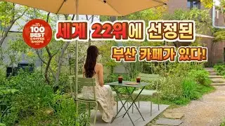2025년 리뉴얼 확장 공사로 더 넓은 공간으로 만나는 세계 바리스타 챔피언카페#부산카페#부산3대커피#모모스커피 