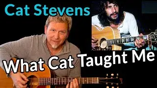 CAT STEVENS - Does Cat's music matter today?