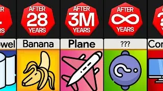 Timeline: How Long It Takes To Decompose?