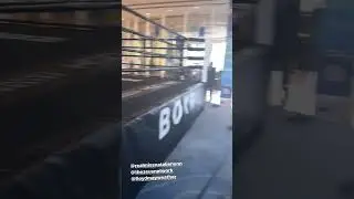 Zeus Network Fight Night BTS!