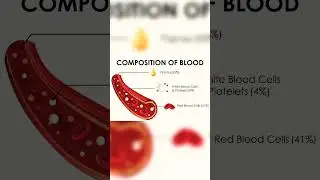 #plasma #cell #blooddonation #ytshorts #medical #physiology #shorts #video