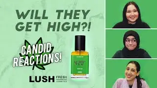 The Effects & Reactions of The '4:20 PM' Perfume on Office Employees - FULL EXPERIMENT