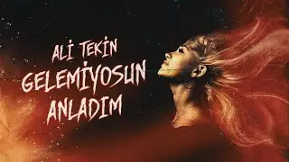 Ali Tekin - Gelemiyosun Anladım !
