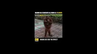 Quando hai esagerato all'addio al celibato