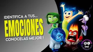 Cuántas Emociones Existen 🤔 Cómo Identificarlas? Claves para Entenderte Mejor