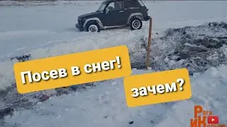 Подзимний посев, миф или реальность? новый опыт