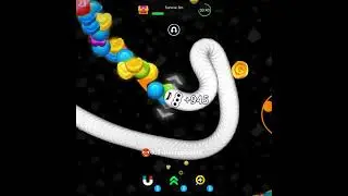 Two Snake Fight