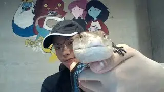 我都是怎麼練唱的咧 | 點歌+回答問題