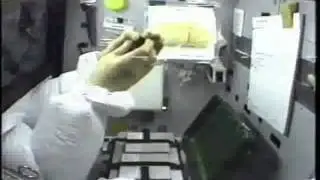 A frog in zero gravity ( Funny )
