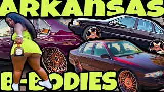Battle Of The B-Bodies