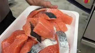 Marelec Portio 3-A: Advanced Precision Portioning for the Food Industry