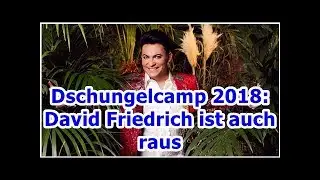 Dschungelcamp 2018: David Friedrich ist auch raus