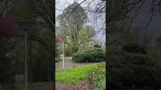 #tiktok