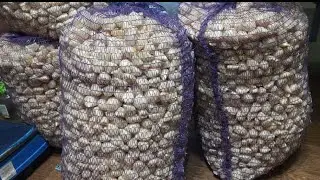 Отвечаю на ваши вопросы про соления!😊