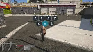 Fivem radial menu (ESX, QBUS)
