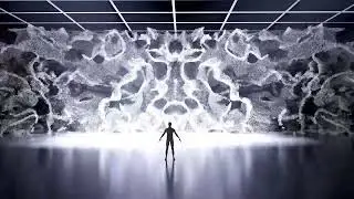 Particles Symmetry