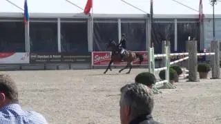 Bluf (ukato x placido) 1.45 Lanaken