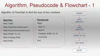 Pseudocode |  C Programming Tutorial