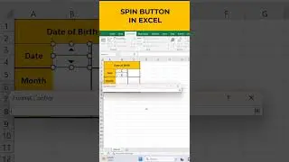 SPIN BUTTON IN EXCEL 