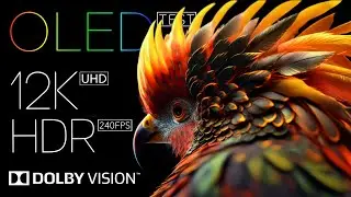 Best of OLED Test Dolby Vision - 12K HDR 240 fps