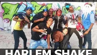 The Harlem Shake - by Messina Ganziya 2