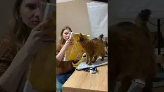 Создаю иллюстрации, которые реализуются в жизни 🍋😍 