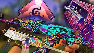 Dreams And Nightmares WINNERS | New Case Walkthrough CSGO