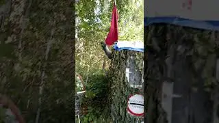 халабуда на берегу острова
