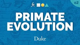 Primate Evolution's Tangled Tree | Fundamental Concepts with Jenny Tung