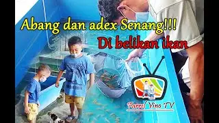 Belajar budidaya ikan nila | Farrel Atharizz Iskandar | Alvino Atharizz Iskandar