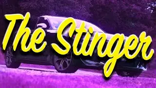 The Stinger | Edit #19
