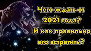 Приметы На Год Быка 2021!  Как Встретить Новый Год , Что Одевать, Что Готовить . НОВЫЙ ГОД 2021