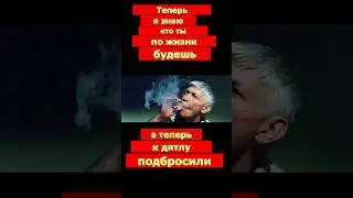 👍Антикиллер 2👍Наседка
