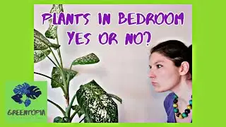 💦PLANTS IN BEDROOM? YES or NO 💨