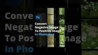Convert Negative Image To Positive Image in Photoshop 🔵