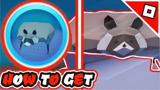 How to get the 