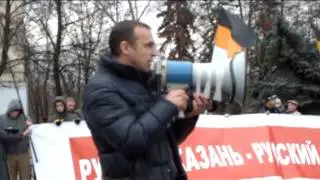 Митинг в Казани 17.11.2013. Луговой В.В.