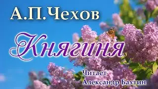А П  Чехов Княгиня  Рассказ  Аудиокнига