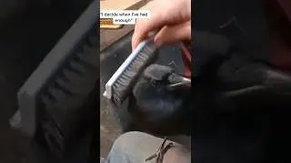 Blackbird goes on a FIRST DATE